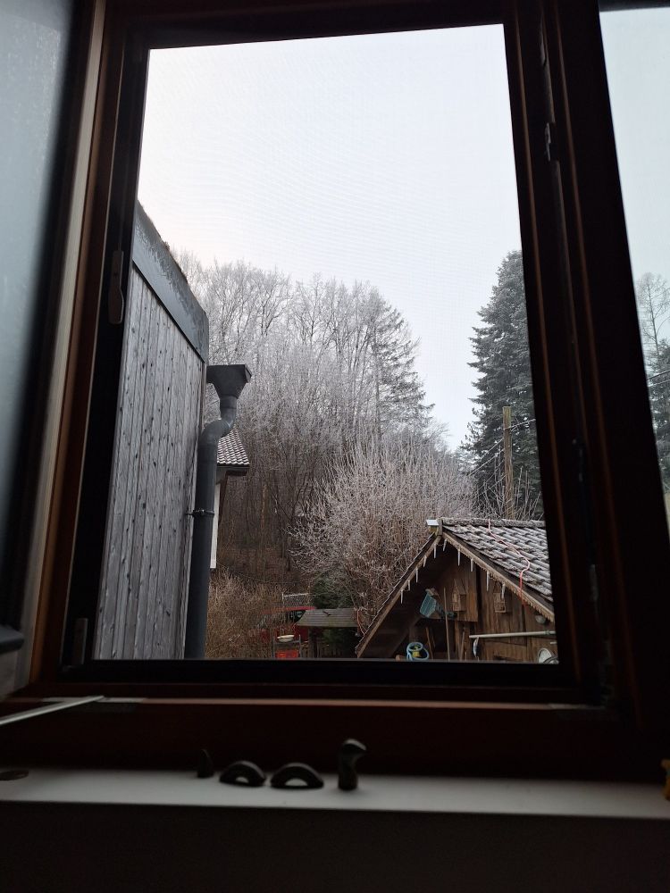 Wienerwald. Blick aus dem Femstee. Leicht verschneite Bäume.