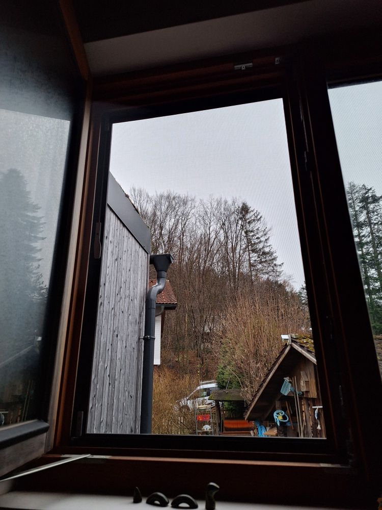 Wienerwald. Blick aus dem Fenster. Buchen und Fichten. Bewölkt.