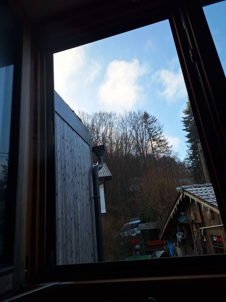 Wienerwald. Blick aus dem Fenster. Buchen und Fichten. Wolken am blauen Himmel.