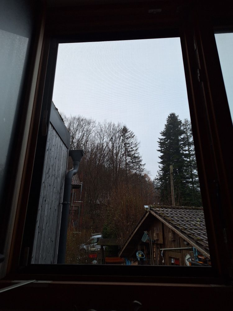 Wienerwald. Blick aus dem Fenster. Buchen und Fichten. Stark bewölkt.