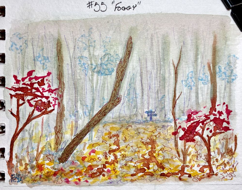 An ink wash and line illustration of a foggy day in an autumn forest. Bare trees stretch back into the light mist, with colorful leaves carpeting the ground below. A few trees cling to their foliage, and in the distance a sign post suggests the path continues to the left and right. The title, "#55 'Foggy'" is at the top-center white space, and the artist's signature "FC11/25" is found in the bottom left corner.