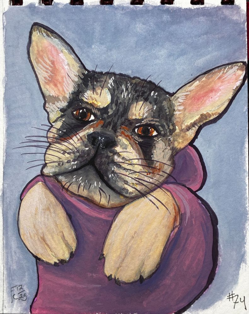 A gouache painting of a French Bulldog in a pink dog-hoodie. The artist's signature, "Fc12/25" is in the lower left corner, while the title "#74" is in the lower right.