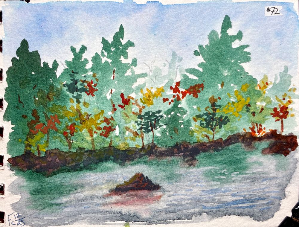 An ink wash and gouache painting of a forest at water's edge. The trees reflect greenly on the water, broken up by reflections of light and a lone rock. The title, "#72" is in the upper right corner while the artist's signature, "Fc12/25" is in the lower left.