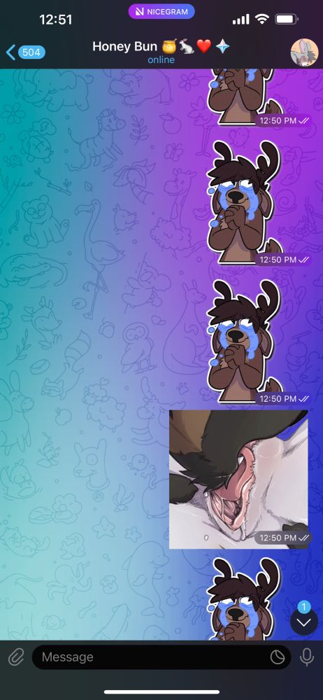 a screenshot of a telegram chat