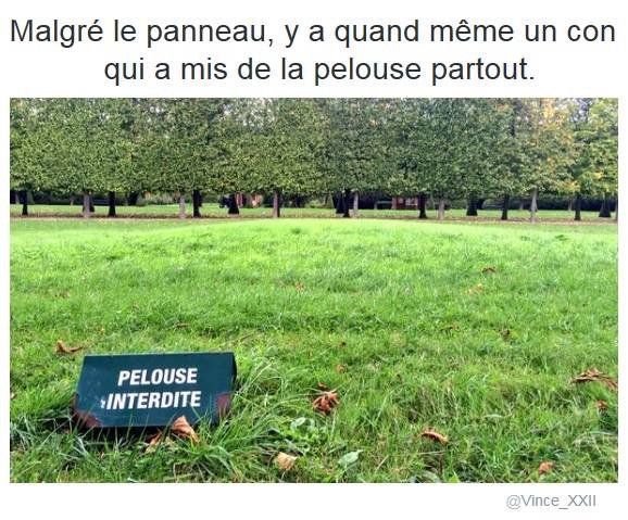 Photo d'une pelouse bien verte sur laquelle est plantée un panneau "pelouse interdite". Phrase écrite au-dessus : "Malgré le panneau, y a quand même un con qui a mis de la pelouse partout."