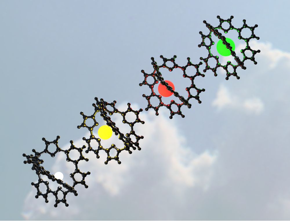 4 mausolate complexes