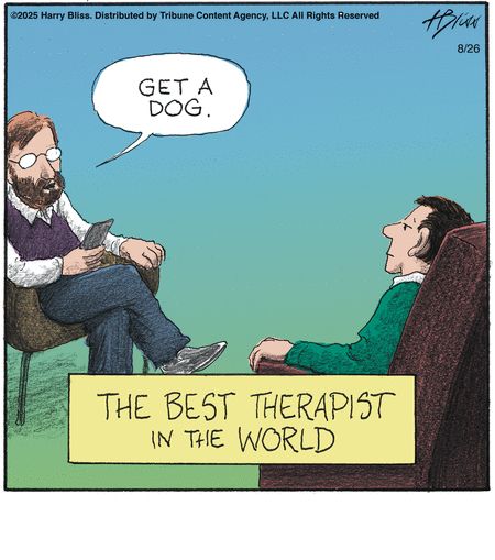 A man is seated with a therapist.  The therapist tells the man to get a dog.  The caption reads "the best therapist in the world."