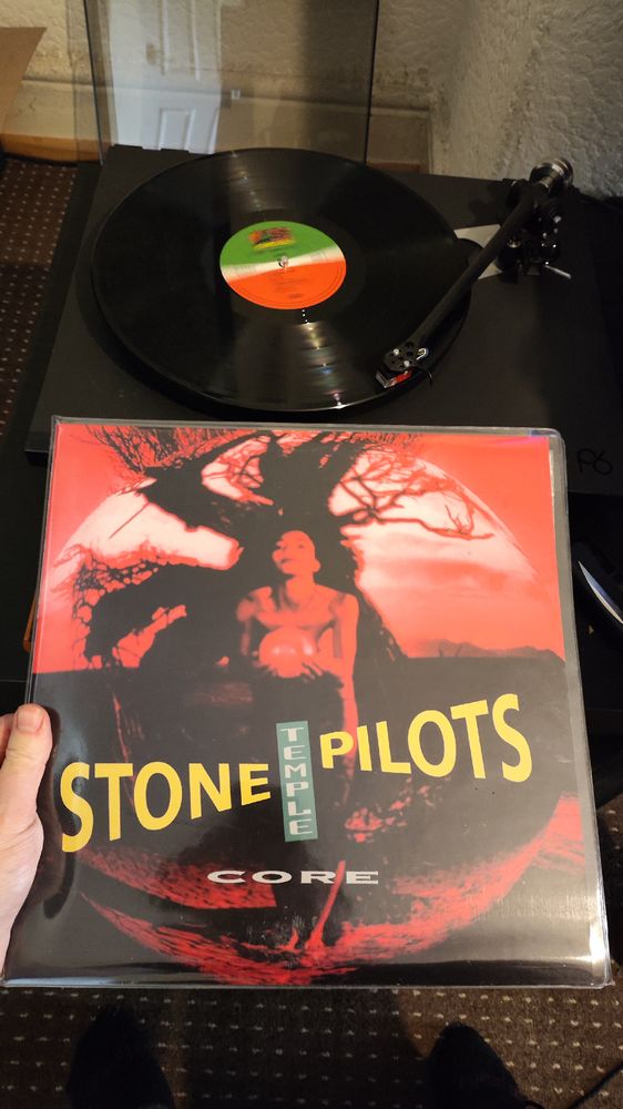 A woman stands infront of a dead tree on a red vinyl art cover and vinyl playing. 