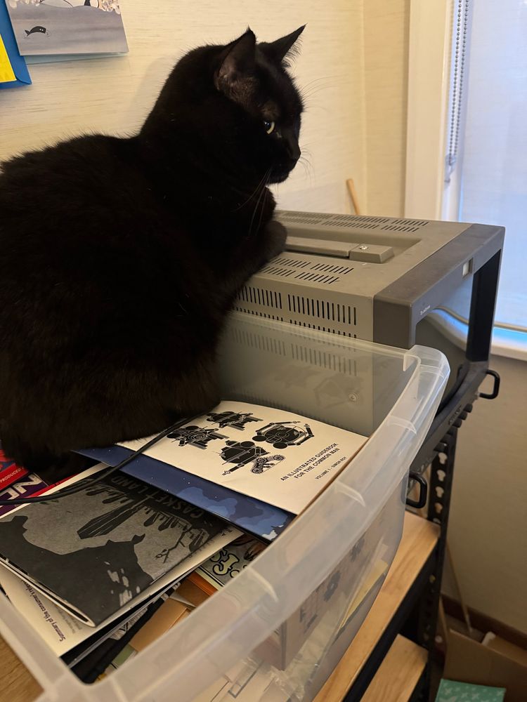 A picture of a black cat resting. He is sitting inside a box full of comics and zines, and his front paws are resting on a Sony Trinitron CRT Monitor.