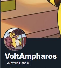 Muh profile says invalid handle