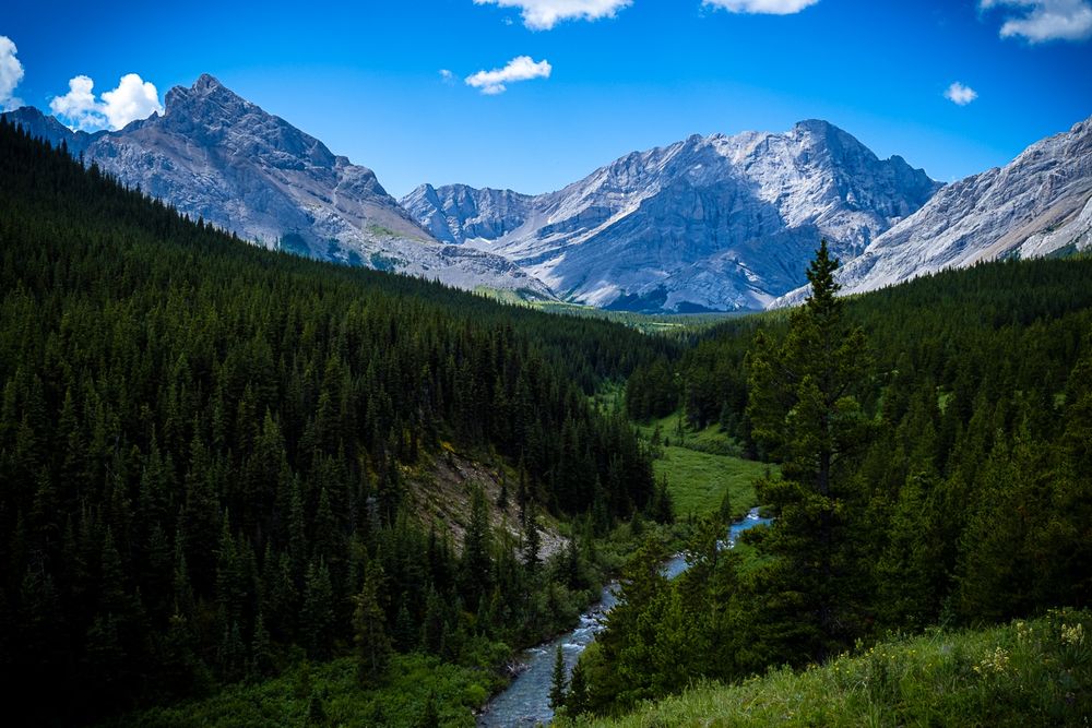 Landscape view of a lush richly green valley in the Rockies with a river flowing through it & mountains in the background.