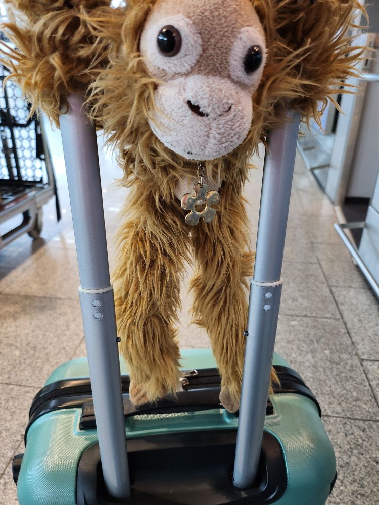 Photo of a mint green suitcase with its handle extended. A soft monkey plushie is hanging from the handle with its arms wrapped around it. The monkey has a bronze flower pendant necklace.