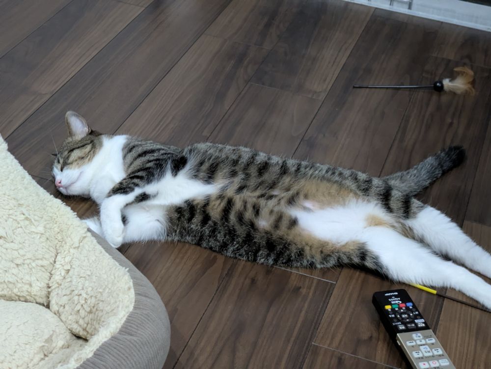 遊び疲れて寝ちゃったよ