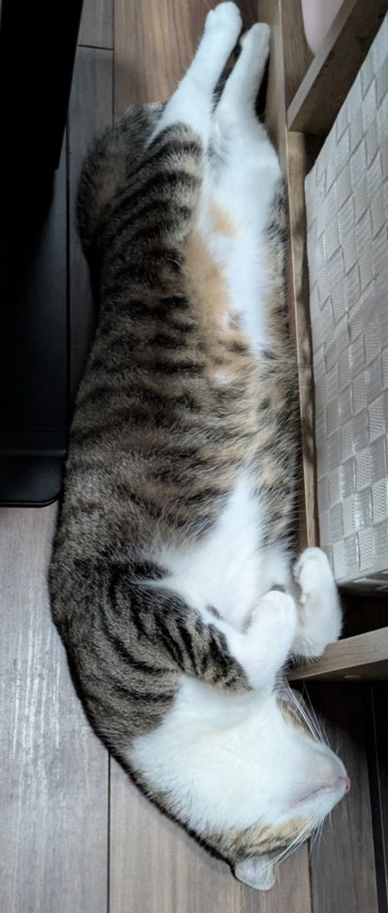 長い生き物！☺️