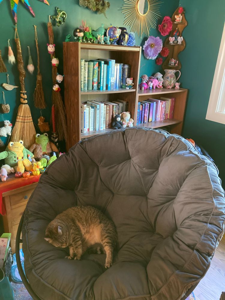 A brown tabby cat sleeps in a round, grey Papasan chair in a colorful room.