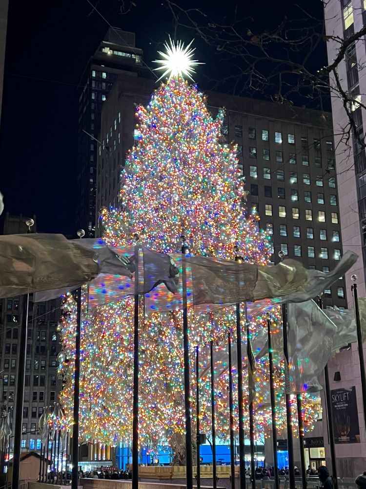 Huge Christmas tree covered in lights