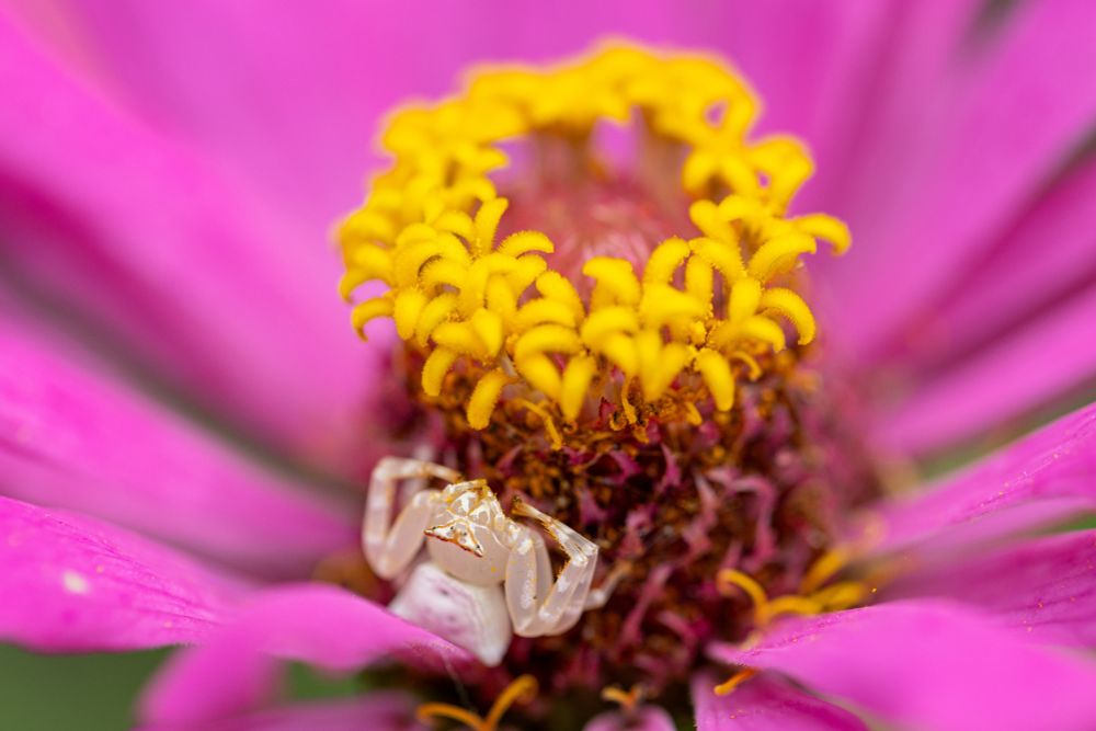 ホシデンは「優れた技術力で世界のテクノロジーの進化を支え、持続的な社会の発展に貢献します。」という企業理念を掲げています。
自然写真の投稿も、その理念に通じる想いから、身近な自然に目を向けるきっかけになればとの思いで発信しています。
※写真提供：中の人A