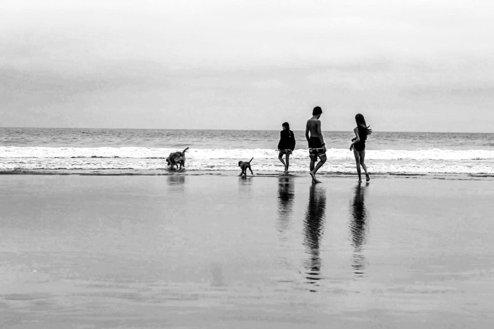 three kids and two dogs walking in the surf on a beach 