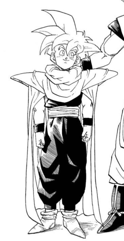 Gohan from Dragon Ball. He is super saiyan and is wearing Piccolo's clothing. 