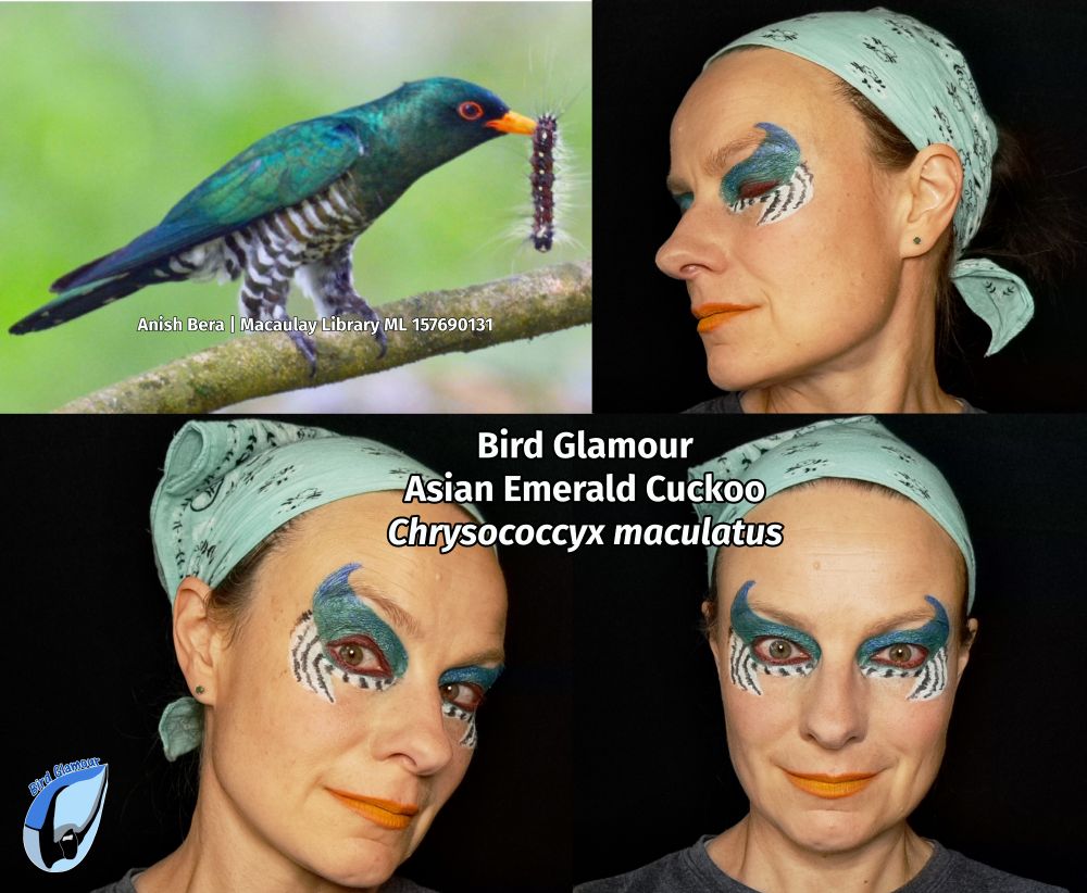 Makeup in Asian Emerald Cuckoo colors and patterns: Upper eye with outer horn sweep above eyebrow, grading from shimmery green with blue flecks and grading out outer iridescent purple, lower eye extending to upper cheek sweep in white with thick vertical black stripes. Yellow orange ombre lip.