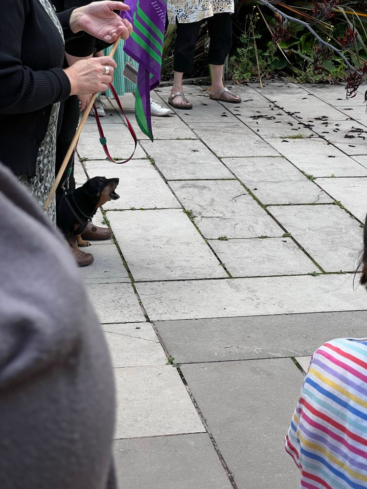 A small black and brown dog in the middle of barking, nestled between someone’s legs. There are some people standing around the white-tiled courtyard although you can’t see their faces. One of them is holding a purple and green Unison flag
