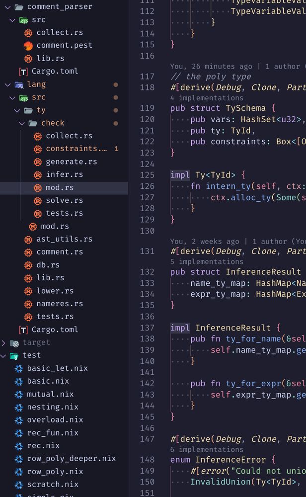 Screenshot of vscode showing a small portion of nix type checker