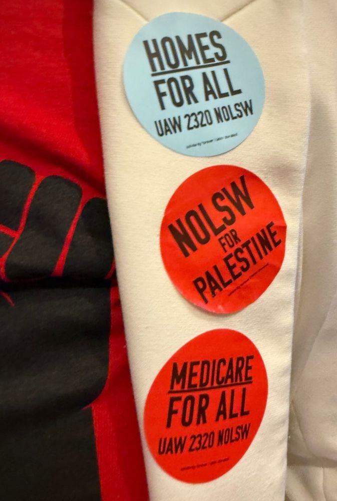three NOLSW stickers on a lapel: Homes for All, NOLSW for Palestine, and Medicare for All