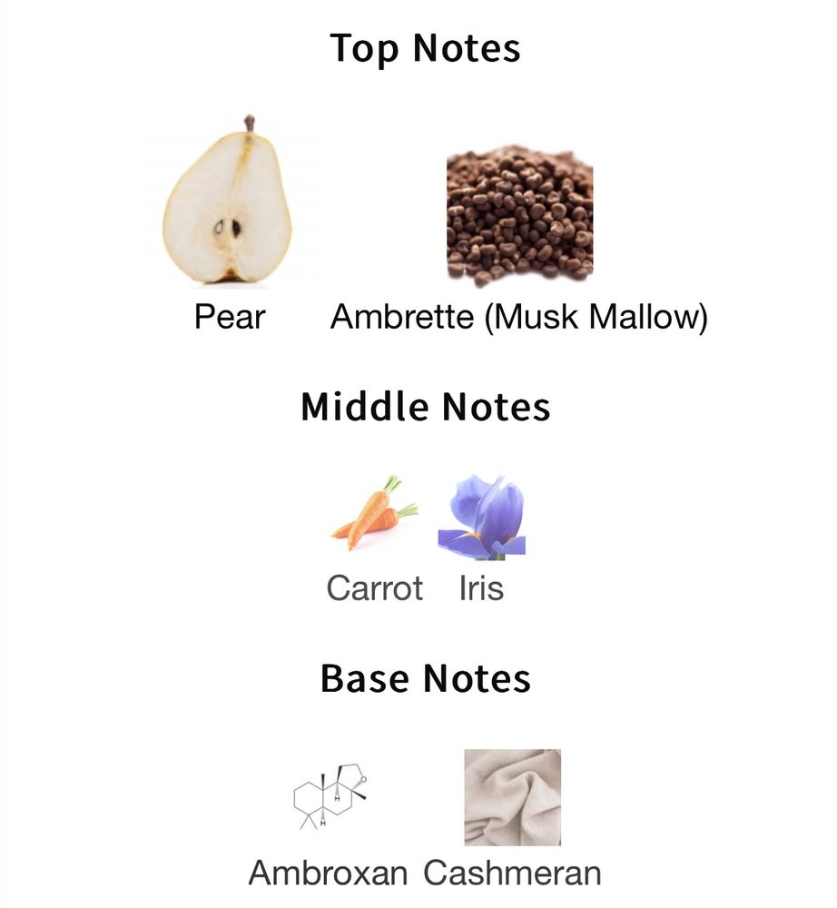 Fragrantica notes for Studied by Liis.
Top notes: Pear, ambrette (musk mallow)
Middle notes: Carrot, iris
Base notes: Ambroxan, cashmeran 
