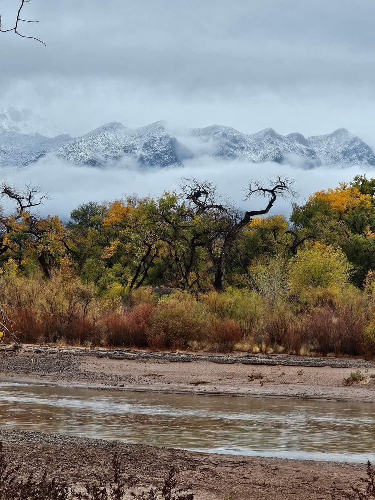 A photo depicting a cloudy sky and snowy mountains behind a row of trees in autumn colors, and a shallow river.