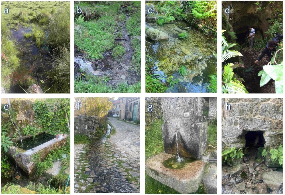 Types of waterbodies surveyed within Peneda-Gerês National Park. Natural waterbodies include (a) ponds, (b) streams, (c) stream pockets, and (d) caves. Artificial waterbodies are represented by (e) tanks, (f) drains, (g) fountains, and (h) cave-like structures.