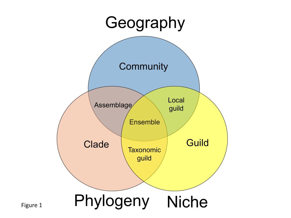 A schema of study units based on three aspects of species: their spatiotemporal association (geography), their evolutionary relationships (phylogeny), and their ecological requirements and effects (niche). Each of those aspects defines a different unit of study: community, clade, and guild, respectively. The intersections of those units define additional, more proscribed units that are subsets of two or more larger units.