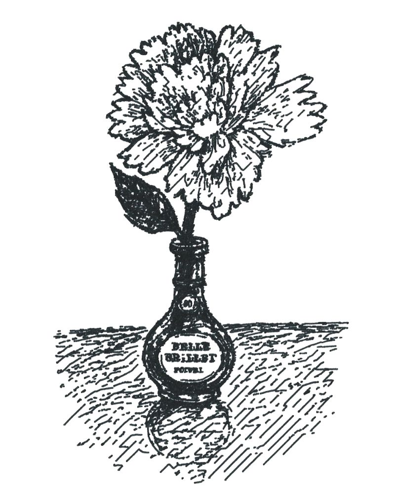A black and white sketch of a flower in a small bottle done by a plotter in a very sketchy style.  The flower is large and irregular.  The stem has a leaft.  The bottle says Belle Brillet and, strangely, poivre.