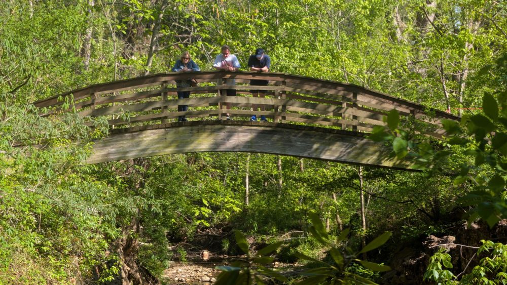 Three on the Bridge. Photo © Jeffrey DeCristofaro 2025. Botanical Gardens, Asheville, North Carolina, USA.

#BlueSkyArtShow #blueskyphotography 
#Jeffrey_DeCristofaro #bridge #outdoors #botanicalgardens #ashevillenorthcarolina
#2025 #publicinteractionswithnature #linesandshadows 
