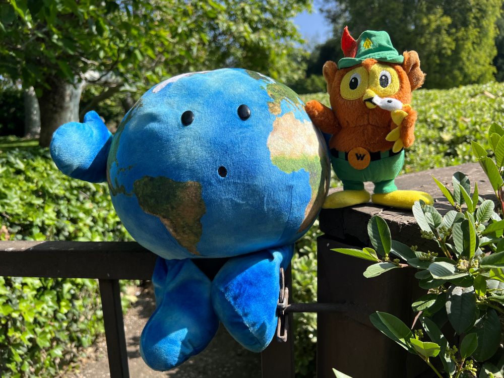 Photo shows a  blue plush earth from Celestial Buddies with a brown plush Woodsy Owl for Earth Day.