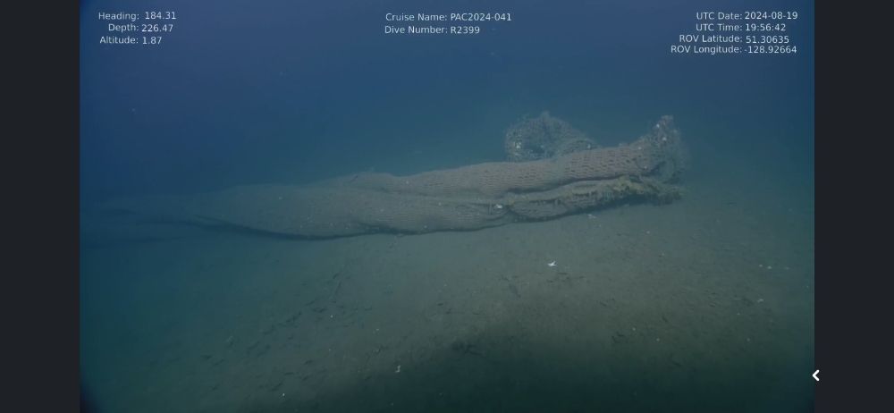photo shows a large tangled trawl net full of deep sea life rolling around the sea floor.