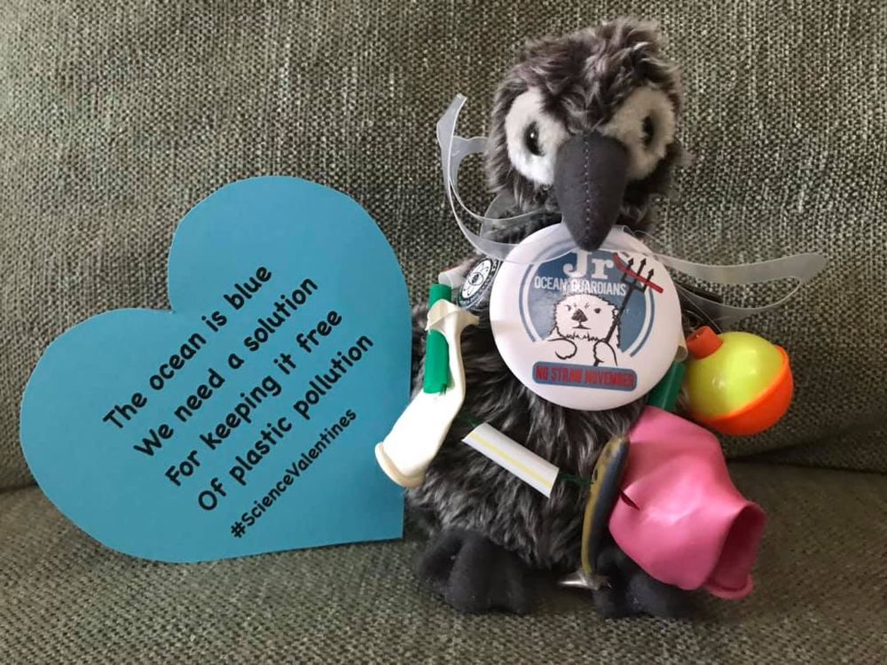Photo shows a stuffed baby Albatross tangled in trash with a blue heart Valentine message about plastic pollution.
