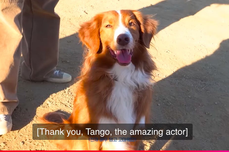 Tango the cute dog in Jin’s MV Running Wild
