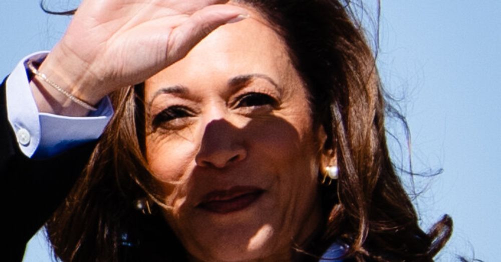 Opinion | No One Said It Was Going to Be Easy for Harris