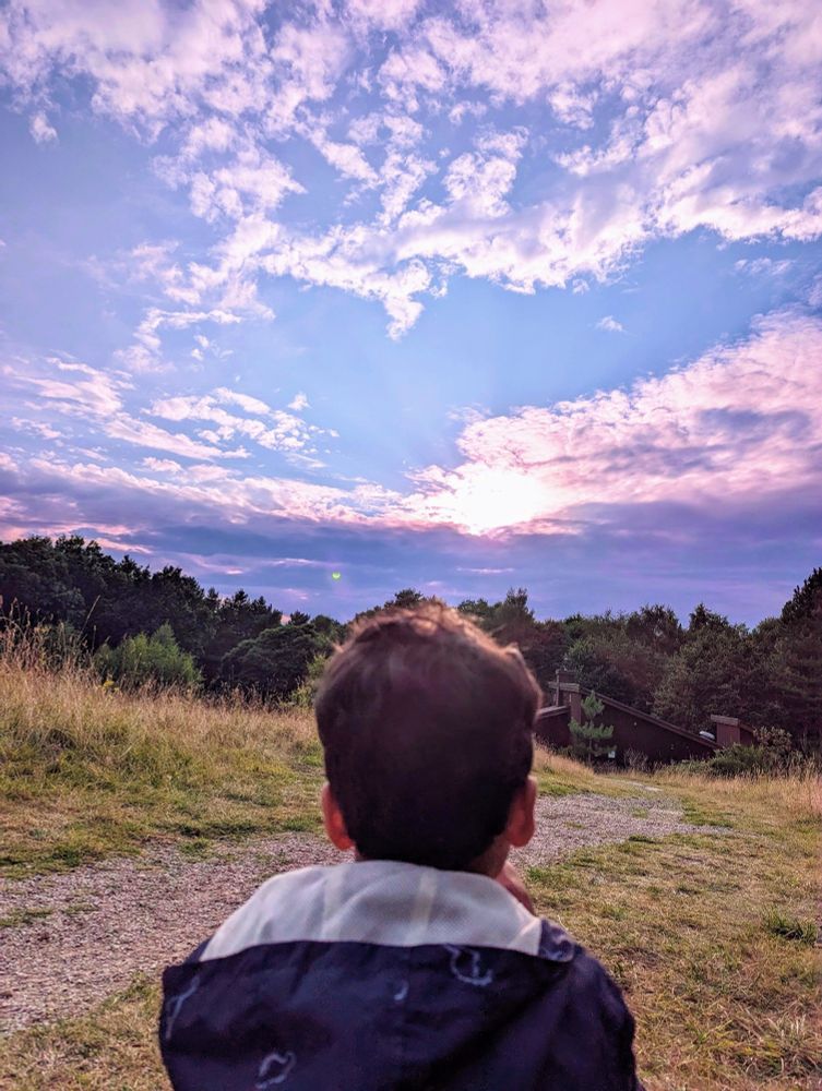 A child looking at the sunset in a forest clearing.