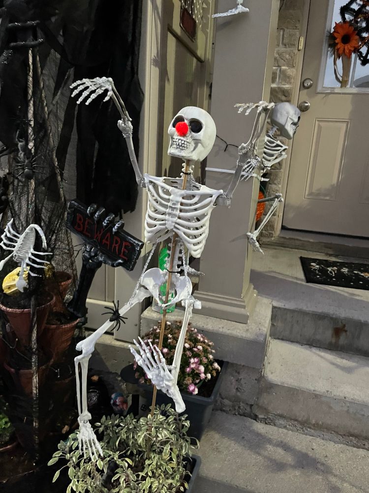 A plastic skeleton posed over some potted plants posed to that it’s dancing with its arms up. It’s smiling and also has a red clown nose. Behind it is another skeleton posed so that’s it climbing up a pillar. Beside the dancing skeleton is a plastic scorpion skeleton. 