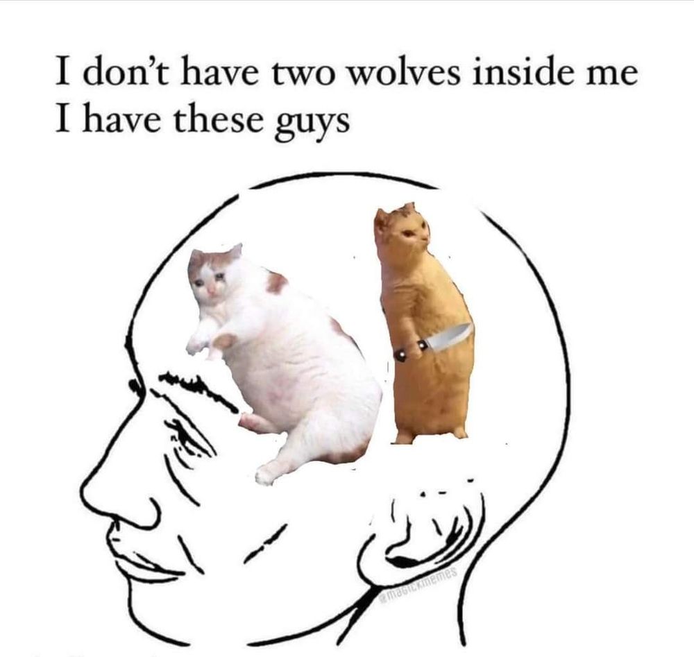 "I don't have two wolves inside me. I have these guys. "
Drawing of a person's head and where the brain should be there is a chubby cat lying down and an orange cat holding a knife