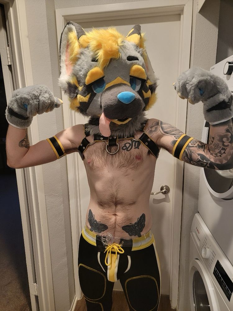Shirtless wolf furry flexing in black and yellow harness, arm guards, and athletic pants. 
