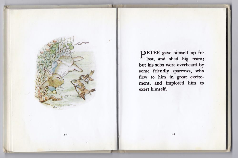 Page from Potter's Peter Rabbit - sparrows implore Peter to exert himself