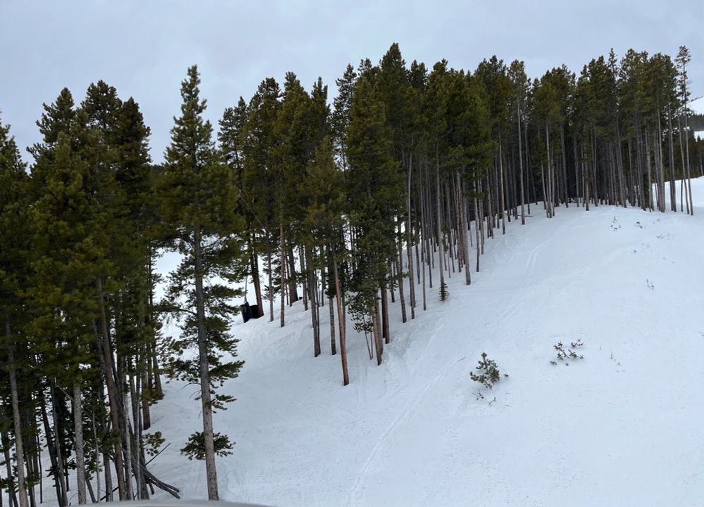 Photo of a ski slope taken from a ski lift. The slope is relatively shallow but has decent snow coverage, pine trees are framing the run 