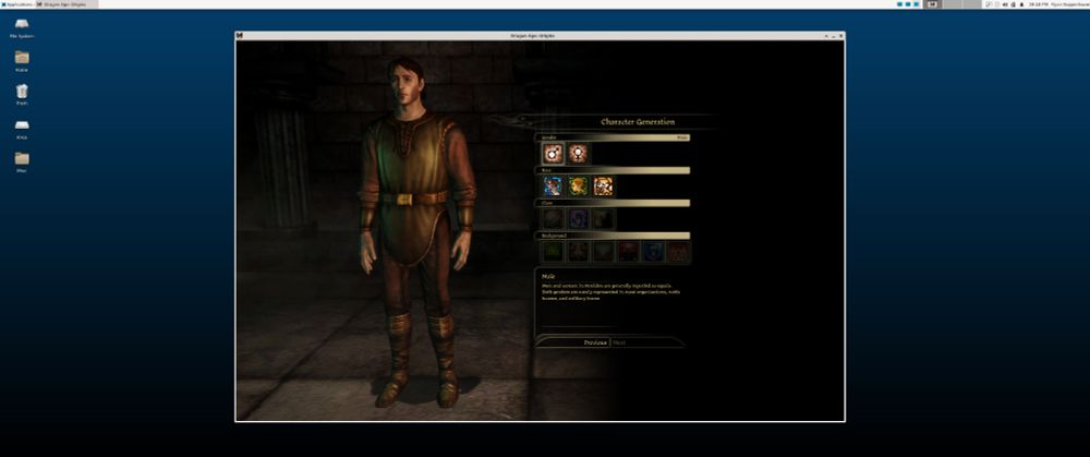 Desktop screenshot showing a window titled "Dragon Age: Origins".  The window shows the character creation screen of a CRPG with somewhat dated graphics.  On the left stands a generic white dude in simple faux medieval clothes.  On the right are UI elements including options for "gender" (with "male" selected), and "race", "class", and "background" (with no selection).