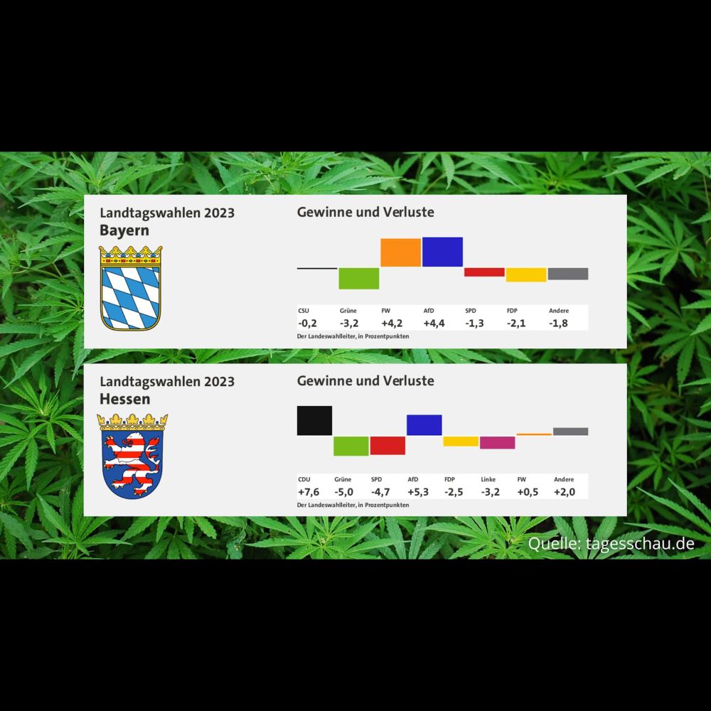 Ampel verliert krachend bei Landtagswahlen, weil Cannabis-Legalisierung so lange dauert