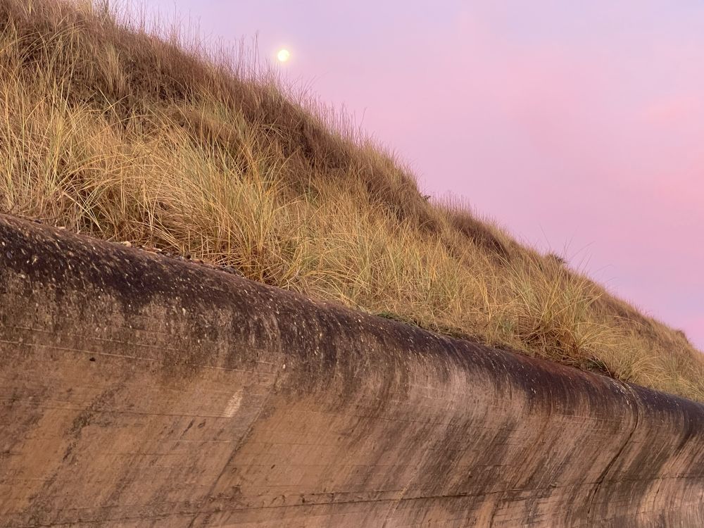 Dune, moon and sea wall, doused in pink 