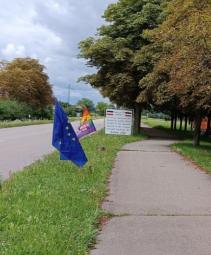 Bild einer Landstraße. Im Hintergrund ein Banner mit der Reichsflagge und einem Reichsbürger-Slogan. Davor eine Pride Flagge mit Aufschrift "kein Bock auf Nazis" und eine Europa-Flagge.