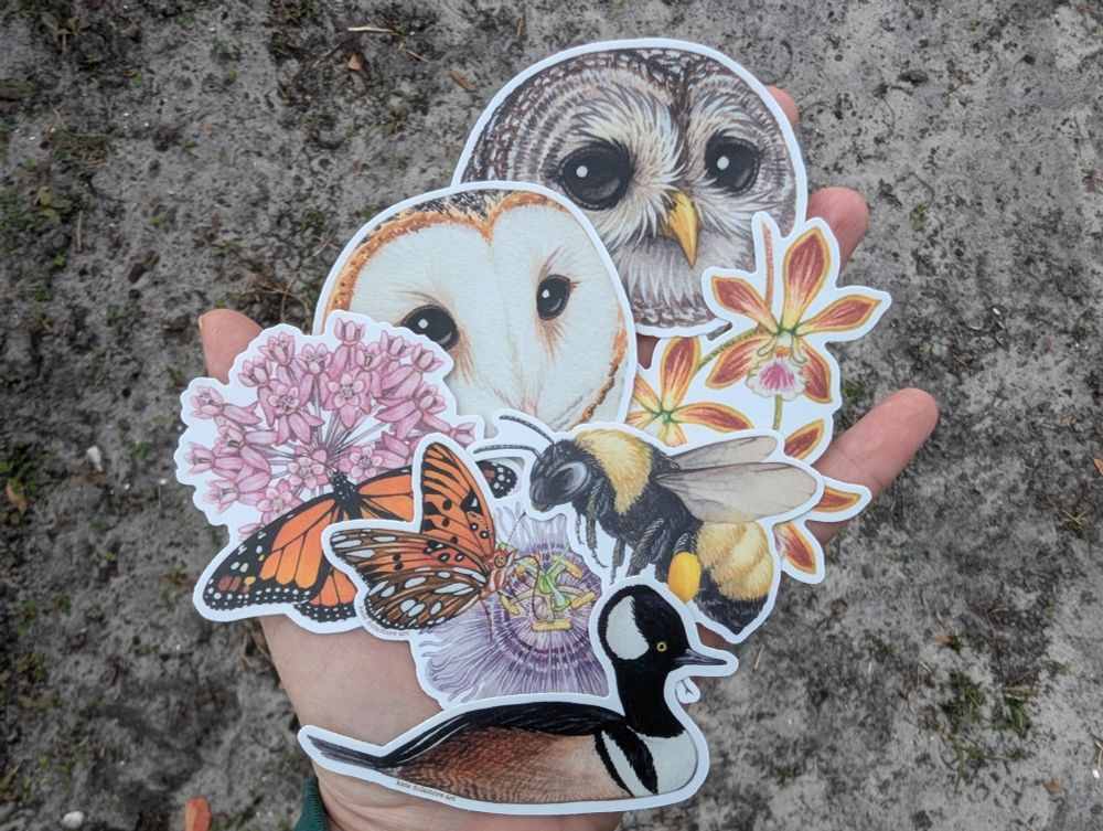 A group of stickers- Barn Owl, Barred Owl, Monarch on Milkweed, Gulf Fritillary on Passionflower, American Bumblebee, Butterfly Orchid, and Hooded Merganser.