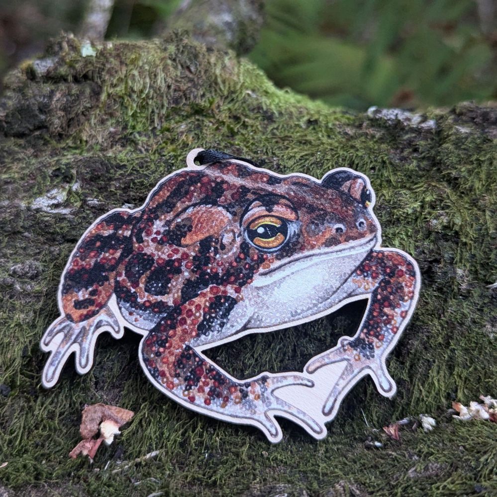 Southern Toad wooden ornament 